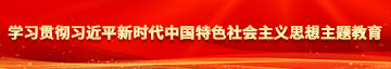 美女被操爽网站学习贯彻习近平新时代中国特色社会主义思想主题教育